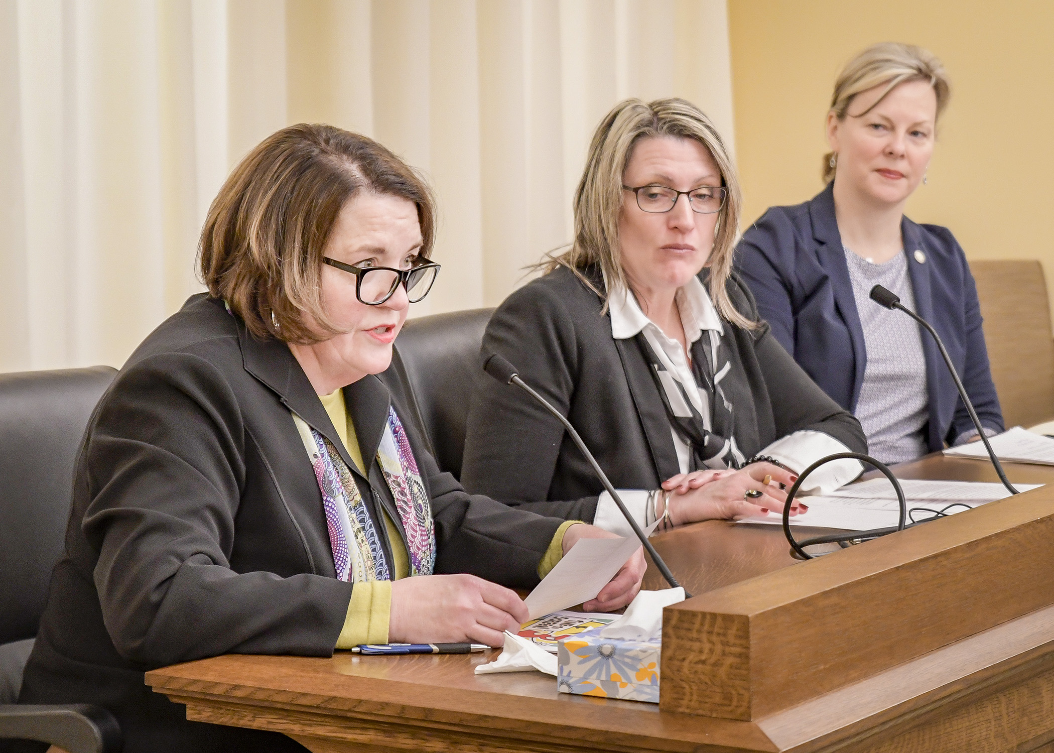 Mary Yackley and Kristine Wehrkamp testify in support of a bill sponsored by Rep. Julie Sandstede, right, that would provide increased funding for early childhood screening. Photo by Andrew VonBank